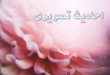 10 حدیث تصویری از حضرت پیامبراکرم (ص) و امام علی (ع)