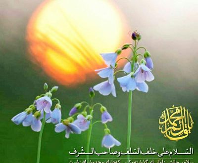 امام غايب (عج) ادرکنی