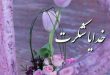 خدایا شکرت ؛ بخاطر همه چیزهایی که عنایت کردی