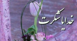 خدایا شکرت ؛ بخاطر همه چیزهایی که عنایت کردی