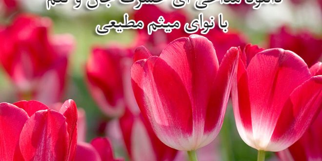 دانلود مداحی ای حسرت جان و تنم با نوای میثم مطیعی