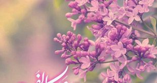 دانلود مداحی زیبای آذری گلدی بو جمعه ده گلمدون سن