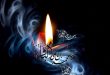 مناسبت‌ها - شهادت امام محمد باقر علیه السلام