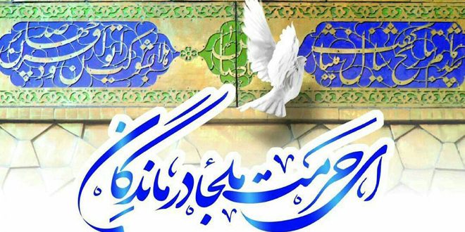 مولودی‌خوانی ویژه میلاد امام رضا (ع) از میثم مطیعی