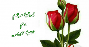 نیایش شبانه
