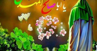 یا ابا صالح المهدی علیه السلام