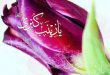 علت نامگذاری حضرت زینب (س) به عقیله بنی هاشم
