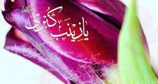 علت نامگذاری حضرت زینب (س) به عقیله بنی هاشم