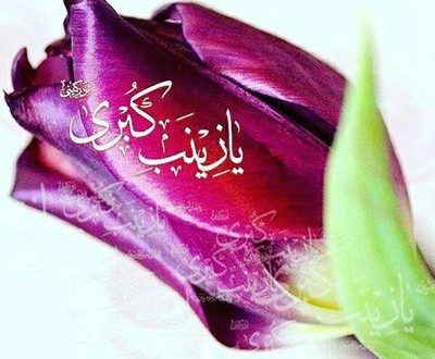 علت نامگذاری حضرت زینب (س) به عقیله بنی هاشم